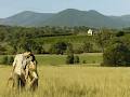 Yarra Valley Visitor Information Centre & Accommodation Booking Service image 3