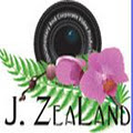nza.cc logo