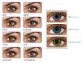 theeyecarecompany image 1