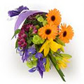 1300 FLOWERS Florist Townsville logo