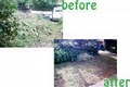 A1 Rubbish Removals image 6