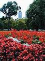 Alexandra Gardens image 1