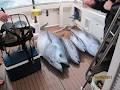 Ambition Fishing Charters image 5