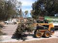 Aussie Tree Services logo