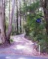 Banksia Lake Cottages image 4