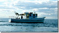 Bay Fish N Trips image 3