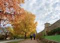 Beechworth Historic Park image 1