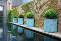 Ben Scott Garden Design image 1