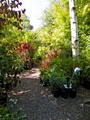 Blackwoodridge nursery image 2