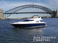 Blue Diamond Charters logo