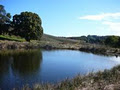 Blueberry Fields image 3