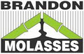 Brandon Molasses image 4