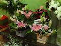 Bribie Island Florist image 6