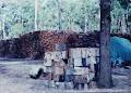 Brisbane & Gold Coast Firewood image 4