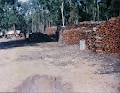 Brisbane & Gold Coast Firewood image 5