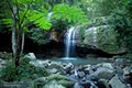 Buderim Forest Park logo