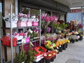 Bunches Florist image 2