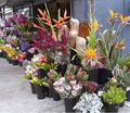 Bunches Florist image 3