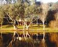 Bushy Lake Chalets image 1