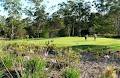 Caboolture Golf Pro Shop image 5