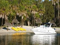 Club Cruise Charters and Transfers logo