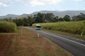 Crocodile Explorer | Cairns Sunset Cruise image 5