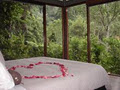 Crystal Creek Rainforest Retreat image 6