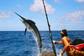 Deep Sea Fishing Charters Gold Coast logo