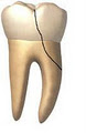 Dentist Emergency Australia image 5