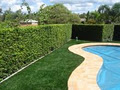 Enduroturf Synthetic Turf image 3