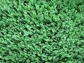 Enduroturf Synthetic Turf image 4