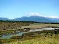 Eubenangee Swamp National Park image 1