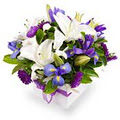 Fastflowers.com.au image 4