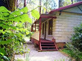 Fernglen Forest Retreat image 2