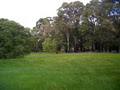 Forest Brook Estate image 3