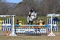 Forest Park Riding & Equitation School logo