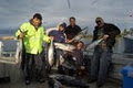 GONE FISHING CHARTERS image 2