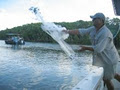 Gone Fishing Cairns image 4