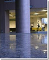 Grip Guard Floor Safety image 2