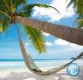 Hammock Heaven image 4