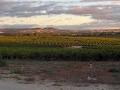 Heritage Wines image 2