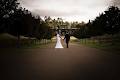 Hunter Valley Wedding Flowers image 4