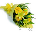 Iris Florist Sydney CBD logo