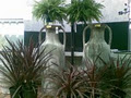 Leeton Mitre 10 image 1