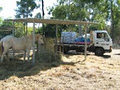 Len's Feed Shed image 4