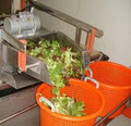 Letusgrow Hydroponics image 2