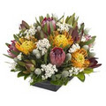 Lilys Florist Newcastle logo