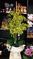 MANDURAH FORUM FLORIST image 6