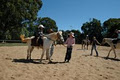 Malanda Horse and Pony Club logo