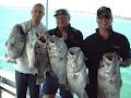 Mandurah Fishing Charters image 3